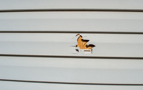 Siding Hole Repair in Oakland